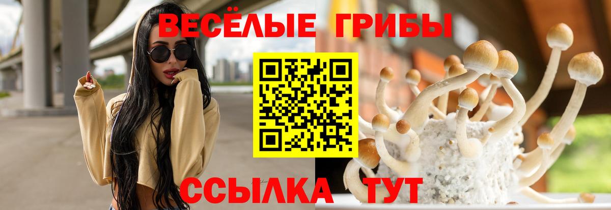 Томск  Псилоцибиновые грибы Psilocybe  Галлюциногенные грибы ЛСД  Вход с VPN 